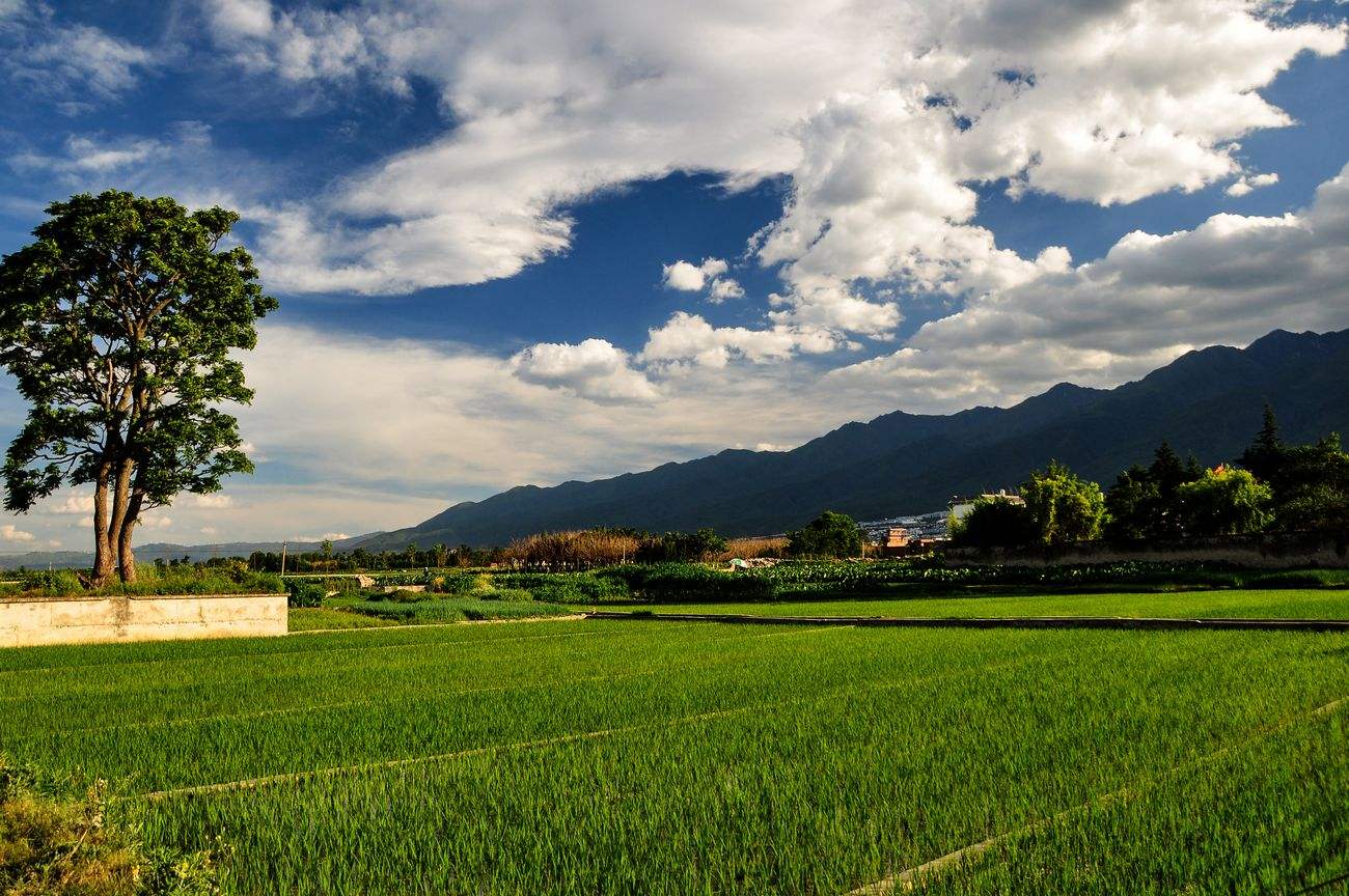 諾獅團(tuán)隊(duì)前赴溫州，展開(kāi)田園綜合體系列項(xiàng)目考察